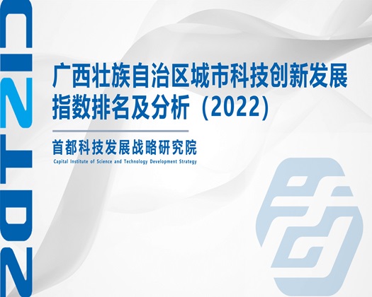 操熟女的逼【成果发布】广西壮族自治区城市科技创新发展指数排名及分析（2022）